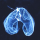 Illustration for article titled 10 Things You Didn't Know About Light